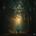 Love Like a Forest